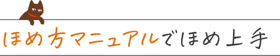 ほめ方マニュアルでほめ上手