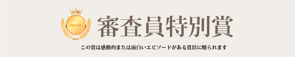 審査員特別賞
