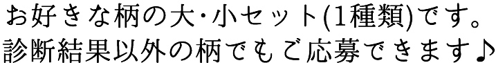 お好きな柄の大・小セット(1種類)です。診断結果以外の柄でもご応募できます♪