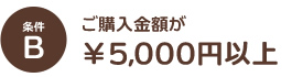 条件2　5000円以上お買い上げ