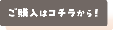 ご購入はこちらから!